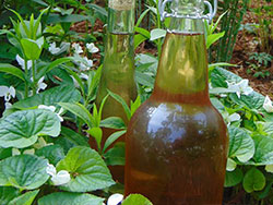 Urban Forage Winery & Cider House